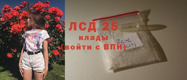крисы Лагань