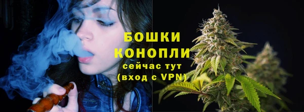 спайс Лабытнанги