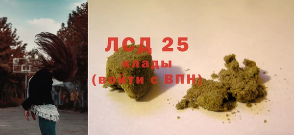 крисы Лагань