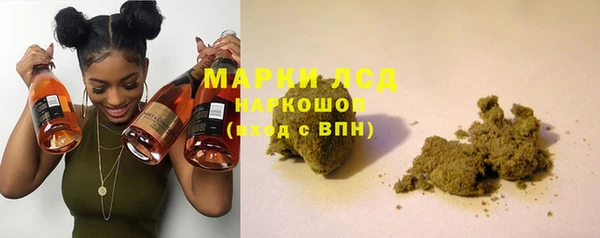крисы Лагань