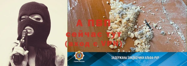 крисы Лагань