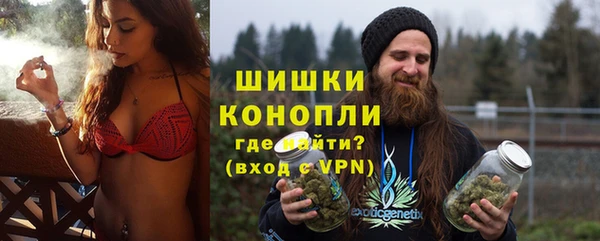 крисы Лагань