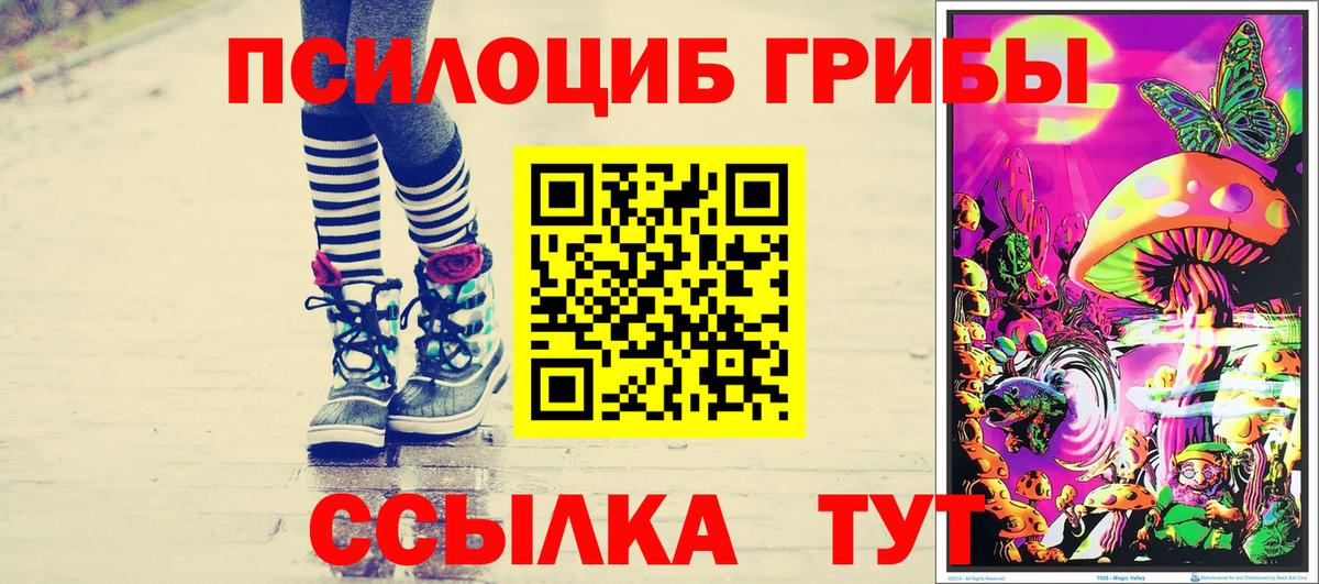 Галлюциногенные грибы Psilocybine cubensis Азов
